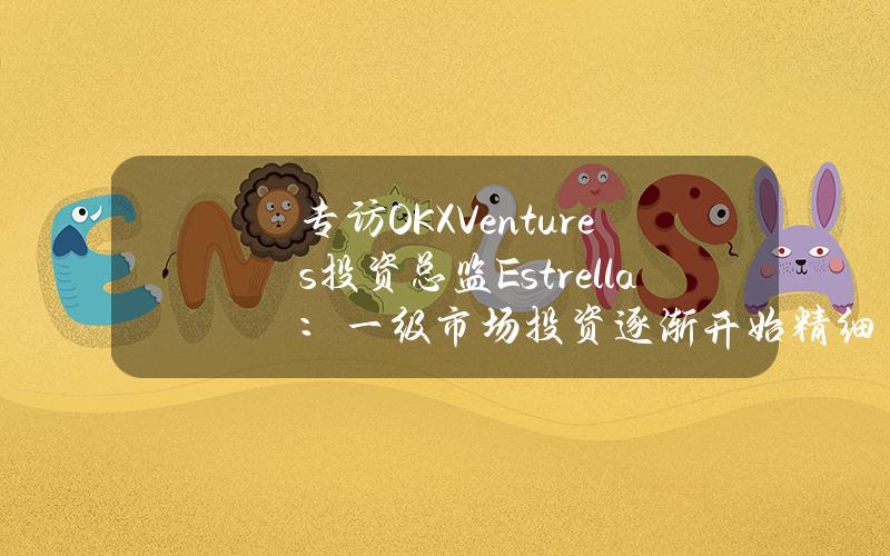 专访OKXVentures投资总监Estrella：一级市场投资逐渐开始精细化