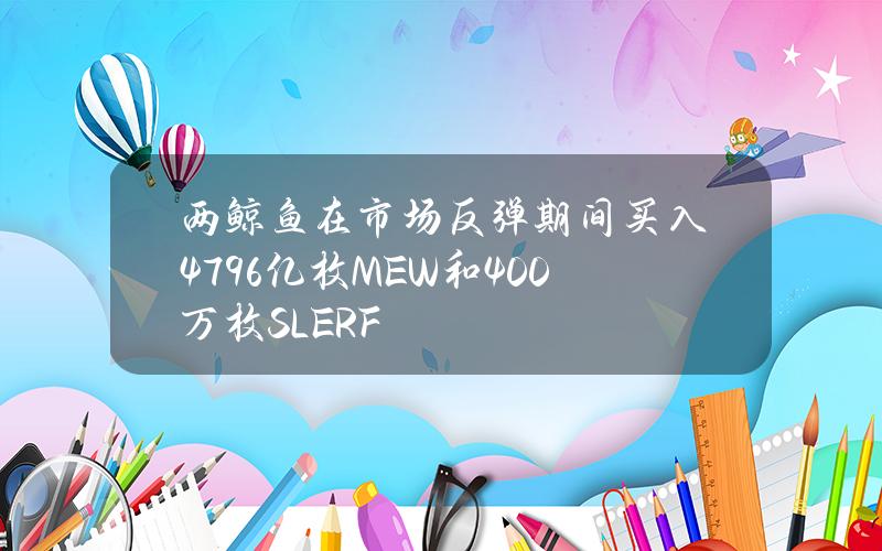 两鲸鱼在市场反弹期间买入4.796亿枚MEW和400万枚SLERF