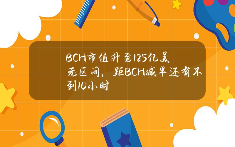 BCH市值升至125亿美元区间，距BCH减半还有不到10小时