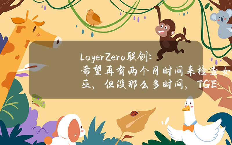 LayerZero联创：希望再有两个月时间来检查女巫，但没那么多时间，TGE时间线仍然不变